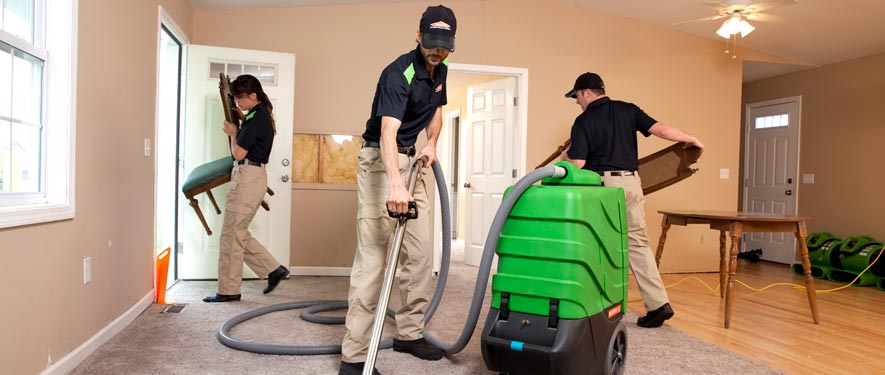 Innisbrook, FL cleaning services